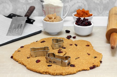 A picture containing table, plate, cranberry, Pumpkin Treats for Dogs & Cats