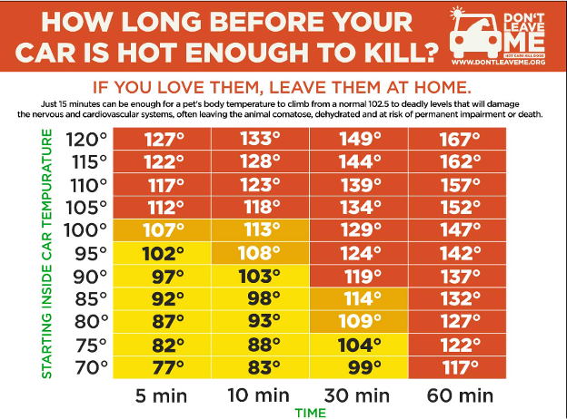 A picture containing ta chart of how long before your car is hot enough to kill