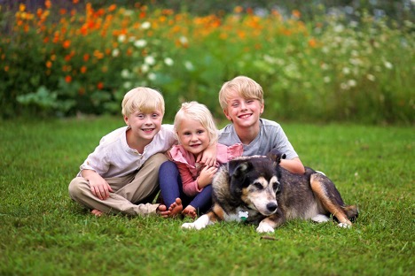 A group of children and an elderly dog in the grass, Why November is the Ideal Time for Adopting a Senior Pet