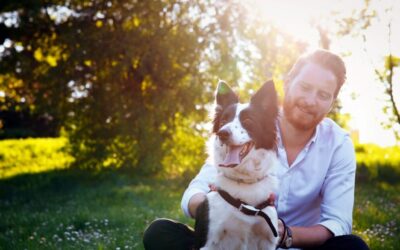 Keeping Your Pet Active: Enhancing Their Health and Happiness