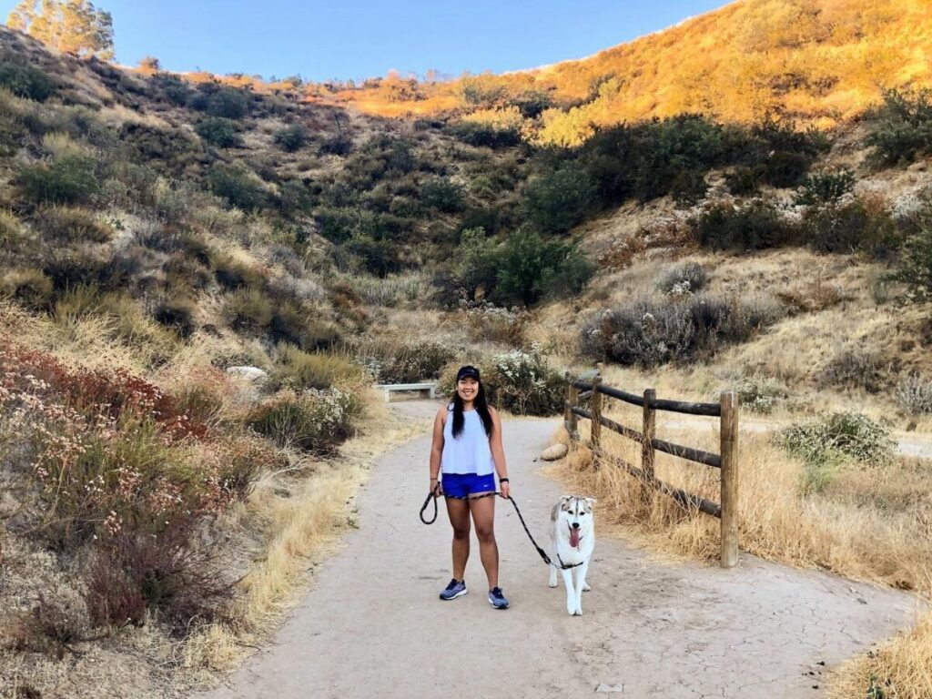 Central Park - Visit Santa Clarita, Keeping Your Pet Active