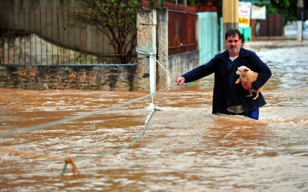 Pet Disaster Preparation