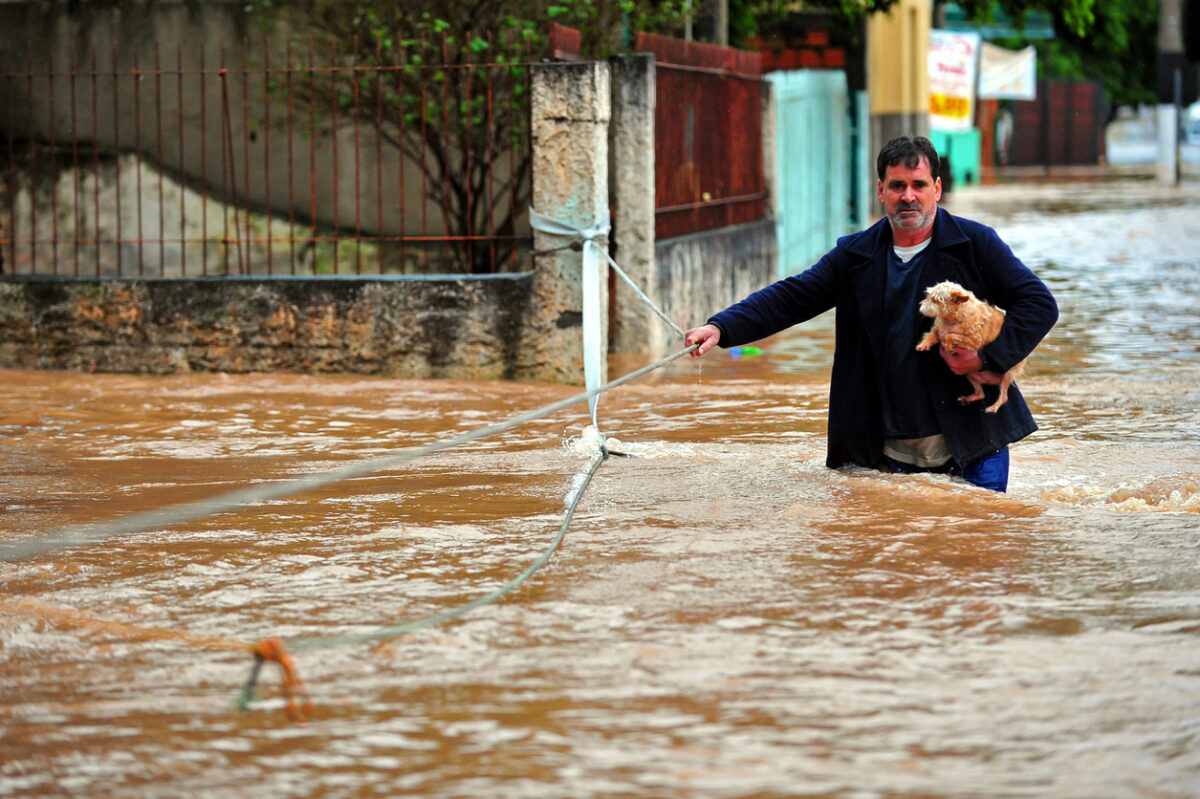 Man rescuing a dog in the flood. Pet Disaster Preparedness