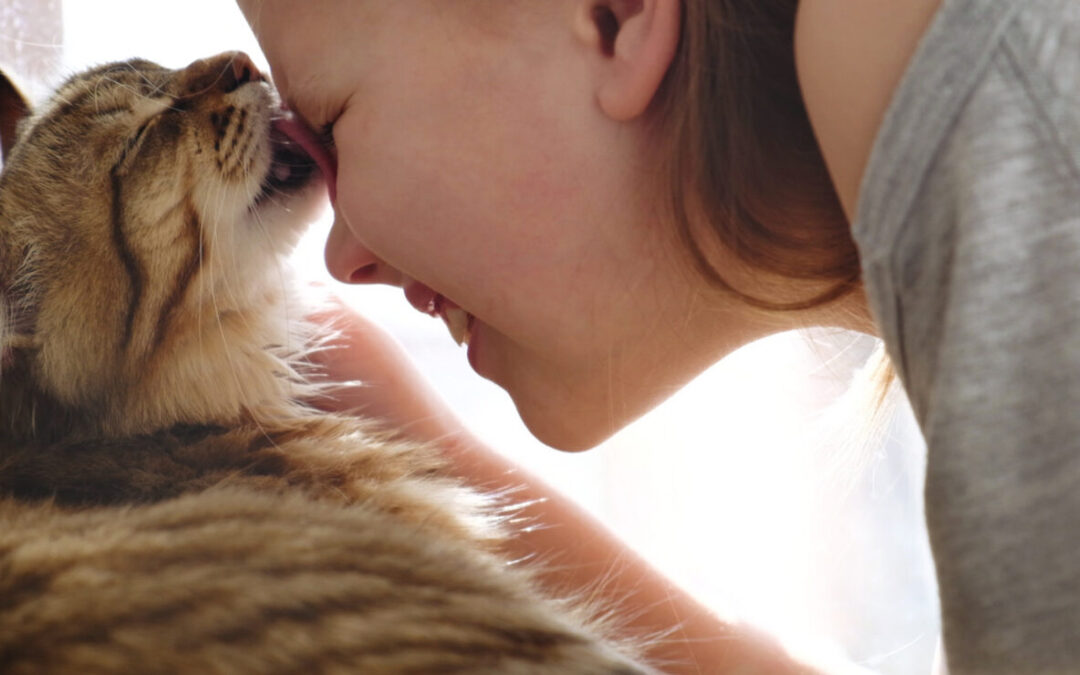Zoonotic Diseases: Can My Pet Make Me Sick? A Guide for Pet Owners