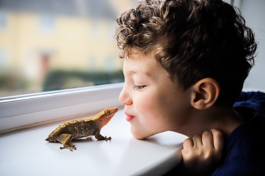Zoonotic Diseases, A boy and a pet lizzard looking at each other
